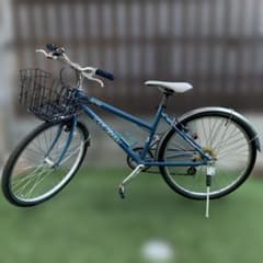 ルイガノ LGS-TR2 カゴ付き 純正ラタン風カゴ付 引取り限定 - メルカリ