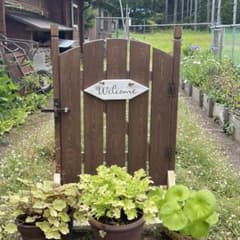 m48417952663_1.jpg?1656737035