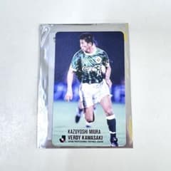 m48506581411_1.jpg?1751345546