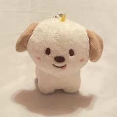 RIIZE アントン ぬいぐるみ モンリョンイ - メルカリ