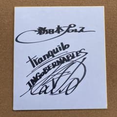 m41173017276_1.jpg?1699315351