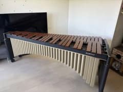 m41449857943_1.jpg?1750723845