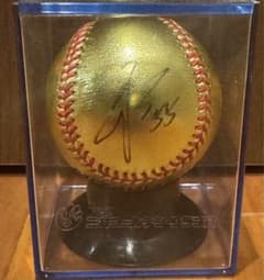 秋山翔吾選手 三井ゴールドグラブ賞直筆サインボール 2016年 西武