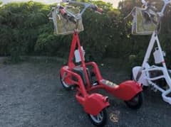 ウォーキングバイシクル 片山工業 レッド - メルカリ