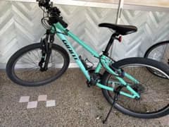 GIANT マウンテンバイク ミントグリーンSX - メルカリ