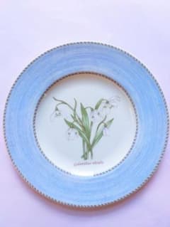 稀少【美品】サラズガーデン ☆スノードロップ☆ ウェッジウッド2枚