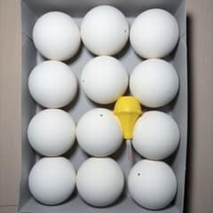 早い者勝ち】ソフトテニス ボール 12球 新品 - メルカリ