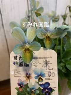 m42959770460_1.jpg?1764744671