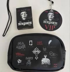 レディーガガ VIPグッズ バッグ、カード、ラミネートパス 3点 - メルカリ