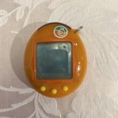 m43461375769_1.jpg?1698801624