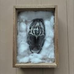 ゴライアスオオツノハナムグリ 昆虫標本 剥製 - メルカリ
