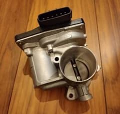 m54587389119_1.jpg?1724061566