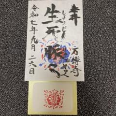 m55779911904_1.jpg?1758971237