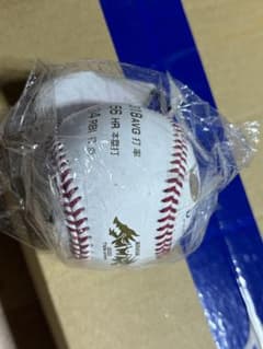 メジャー記念激レア2022 ヤクルトスワローズ日本最終年村上宗隆三冠王