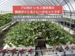 m56775894285_1.jpg?1739610059