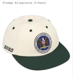 Supreme Pledge Allegiance 6-Panel - メルカリ