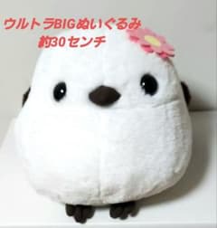 m57468315934_1.jpg?1749611892