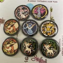 ポケふた 缶バッジ イーブイすき 指宿市 ブイズ - メルカリ
