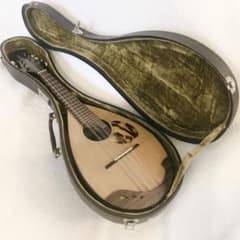 カラーチェ マンドリン 1965 ハードケース付raffaele calace - メルカリ