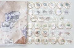 m50937756306_1.jpg?1740743343