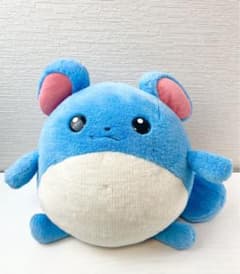 m53285575688_1.jpg?1715155971