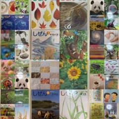 フレーベル館 キンダー しぜん 37冊＋おまけ4冊 合計41冊