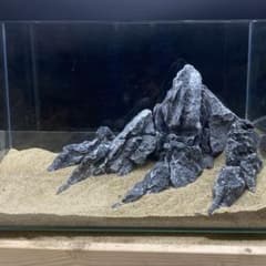 m66076171173_1.jpg?1718880021