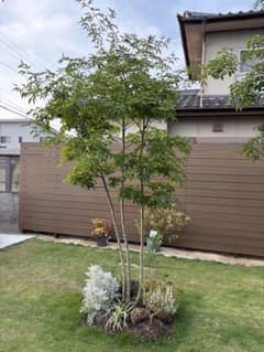 m67239233749_1.jpg?1750454096