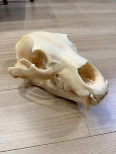 m67741219421_1.jpg?1718021430