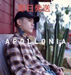 Apollonia low cap T-pablow 着用 [お値下げ可能] - メルカリ