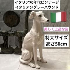 イタリア70年代ビンテージ美しい立ち姿のイタリアングレーハウンド特大