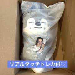 straykids celebrATE プラッシュバッグ ウルフチャン トレカ付 - メルカリ