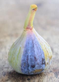 激ヤバ変態いらっしゃい Campaniere Mutant イチジク 穂木 苗 - メルカリ