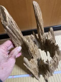 ベトナム産天然香木 希少良香沈香483.7g 香道聞香用六国五味伽羅