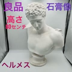 m14090093573_1.jpg?1747885838