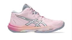 SKY ELITE FF MT 3 FUTURITY 高橋藍モデル 27㎝ - メルカリ