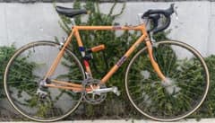 m15834359808_1.jpg?1703406479