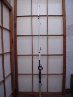 m16466799921_1.jpg?1723872978