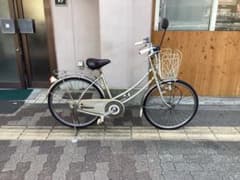 m17552185433_1.jpg?1714224466