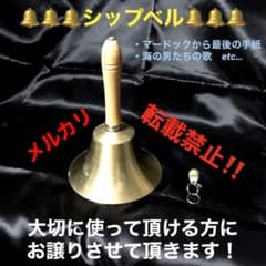 m17568980411_1.jpg?1743265235