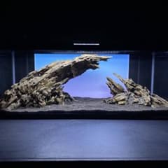 m17977149192_1.jpg?1750843834