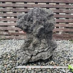 富士 溶岩石 26.5キロ 庭石 鑑賞石 石 庭 ガーデニング 置物 - メルカリ