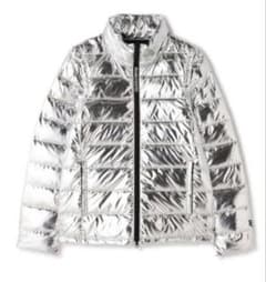 ダンディ様専用）パーリーゲイツ、プラチナシルバー、ダブルジップ