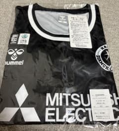 値下）非売品 名古屋ダイヤモンドドルフィンズ FC特典 シューティング