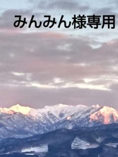 みんみん様専用❗セツブンソウ来春開花予定6球・日向ササユリ2球お届け