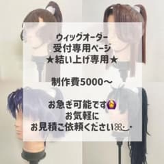 コスプレウィッグオーダー 専用ページ【結い上げ専用 】忍たま乱太郎