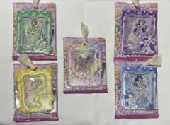 yesプリキュア5なりきりキャラリートキッズ キュアアクア110 | Compre