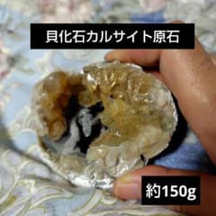 m11091569099_1.jpg?1764748955