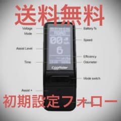 m11816861863_1.jpg?1704686032