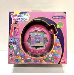 m12188129615_1.jpg?1756472735